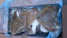 Камбала пятнистая без головы тушка от 1 кг (штучная заморозка) Мурманск от 10 кг