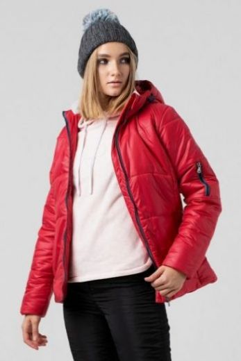 ������ ���������� �������