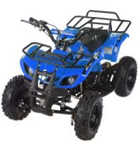 MOTAX ATV Mini Grizlik Х-16 ручной стартер Квадроцикл бензиновый