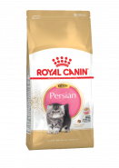 Kitten persian 0.4 кг