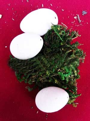 Растущие яйца динозавра в наборе