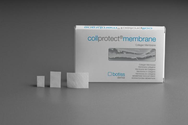 Collprotect membrane 30х40