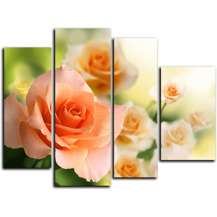 Модульная картина Прелестные розы
