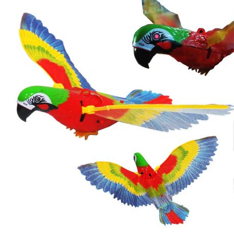 Летающий и говорящий попугай
