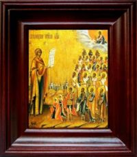 Боголюбская (Московская) икона Божьей Матери (21х24), простой киот