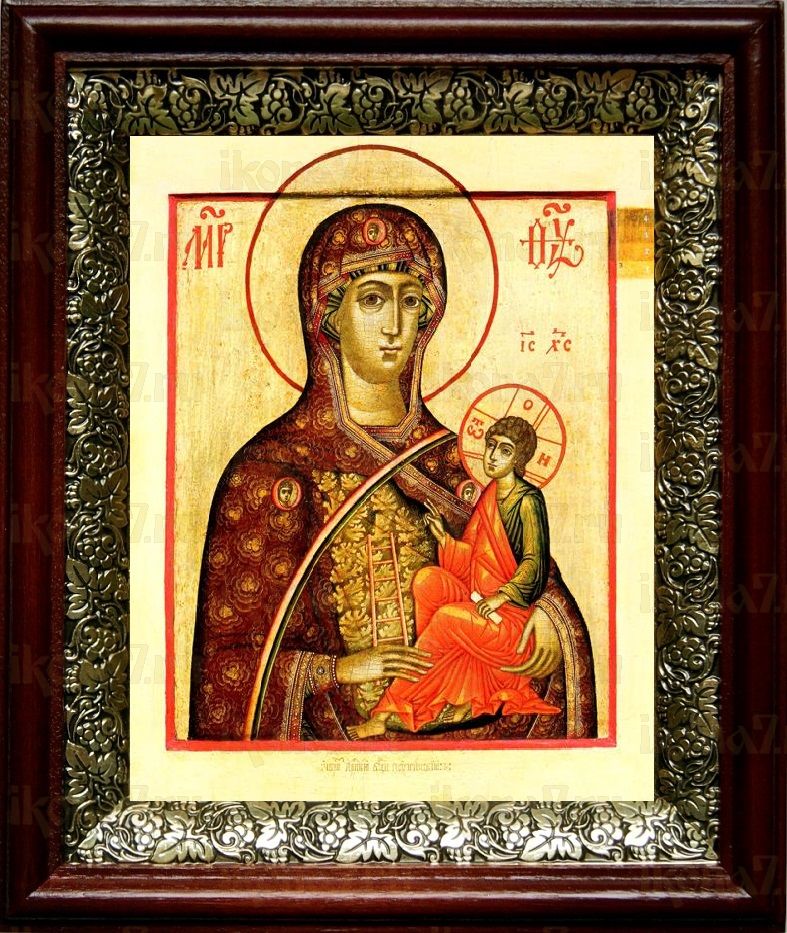 Молченская икона Божьей Матери (19х22), темный киот
