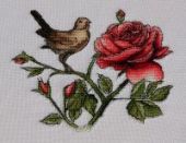 Cross stitch pattern "The Nightingale and the rose".