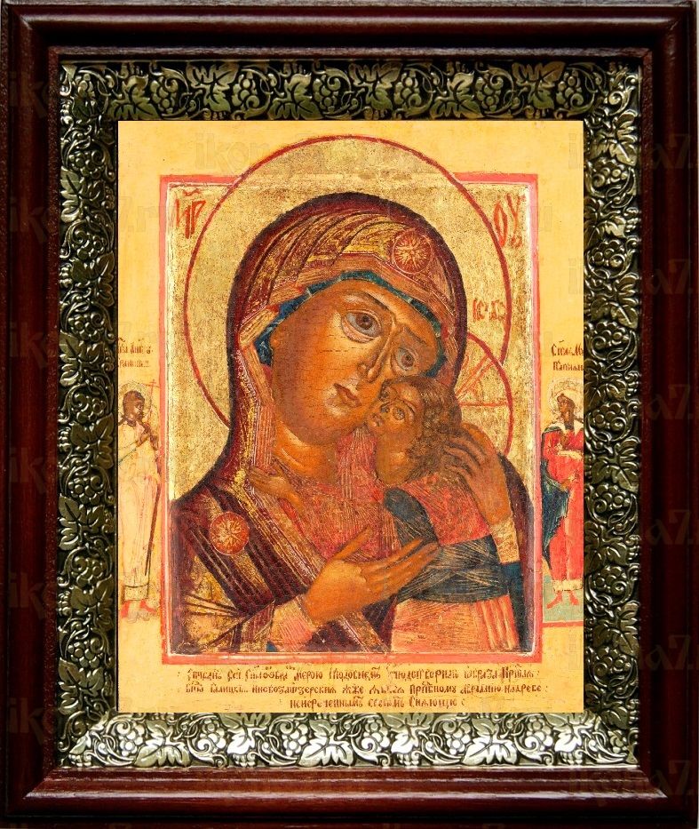 Чухломская (Галичская) икона Божьей Матери (19х22), темный киот