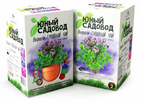 Набор Юный садовод 'Вырасти травяной чай'