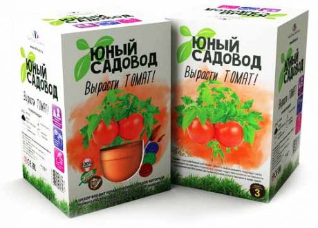 Набор  'Вырасти томат'