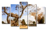 Модульная картина Сплетенные деревья