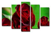 Модульная картина Красная роза