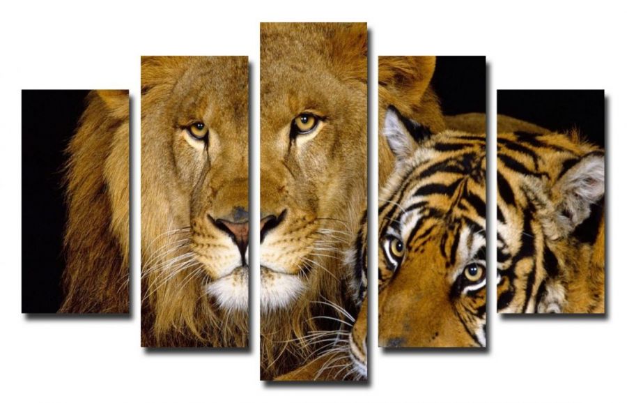 Модульная картина Лев и тигр