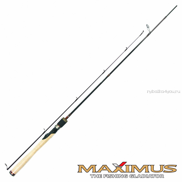 Спиннинг Maximus High Energy-X 3,3м/15-56гр MSHEX33H