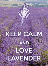 Почтовая открытка KEEP CALM and love lavender