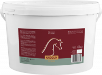 KAOGLIN Horse каолиновая глина с ментолом и эвкалиптовым маслом 2 и 4 кг Over-horse