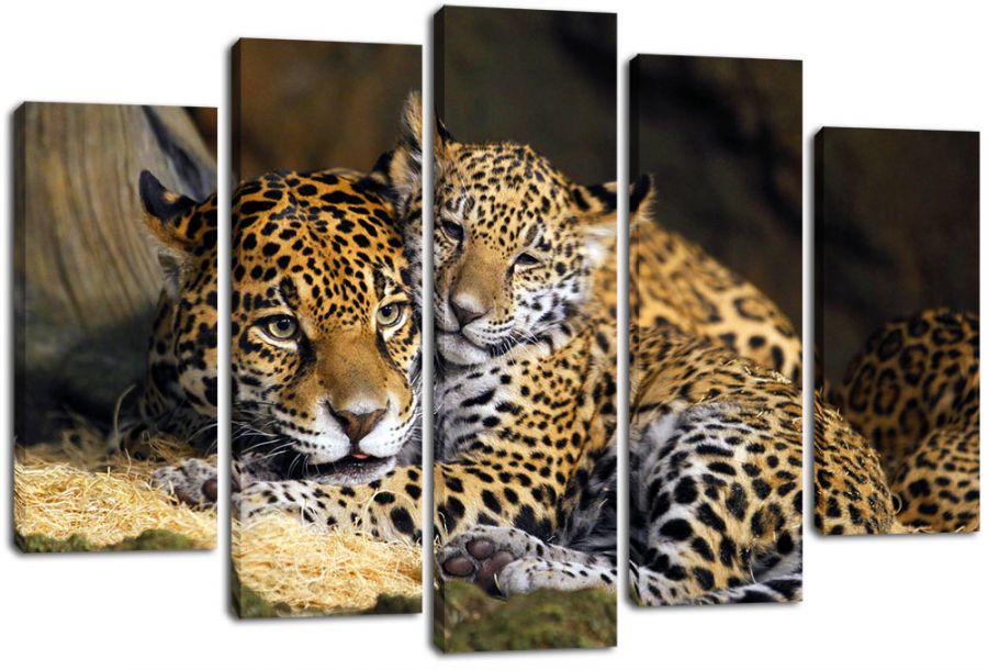Модульная картина Леопарды