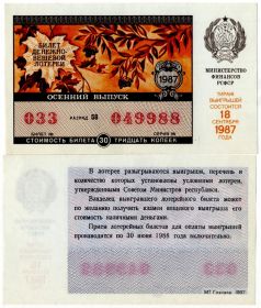 Билет денежно вещевой лотереи 1987 год aUNC Министерство финансов РСФСР