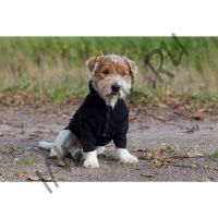 Флисовый свитер Back on Track для собак Bianca