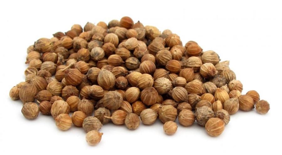 Кинза-Кориандр семена (кг)
