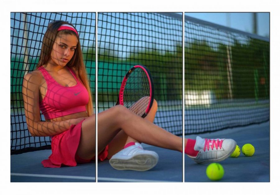 Модульная картина Розовый теннис