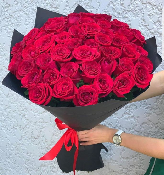 51 красная роза 60  см