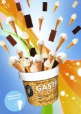 D-Gastro 500 гр - Шоколадное Мороженое