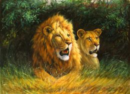 Картина по номерам Лев и львица E372
