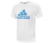 Футболка детская бело-голубая Adidas Promo Tee Kids ADITSG2B/V2