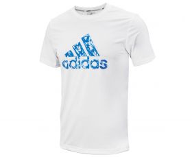 Футболка бело-голубая Adidas Graphic Tee ADITSG2