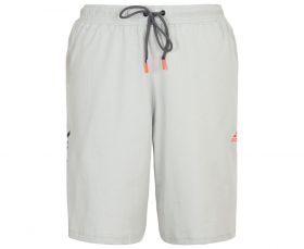 Шорты серые спортивные Adidas Base Shorts ADISBS01