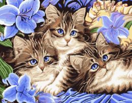 Картина по номерам Голубоглазые котята KTL057
