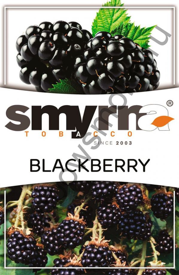 Smyrna 50 гр - Blackberry (Ежевика)