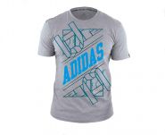 Футболка серо-голубая Adidas Graphic Tee Belt ADITSG1