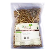 Кориандр зерна Органик Гарден | Organic Garden Organic Coriander Whole ( Dhaniya / Dhane )