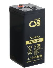 CSB MSV 300