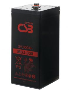 CSB MSJ 300 