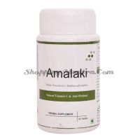 Амла в таблетках натуральный антиоксидант Джайн Аюрведик | Jain Ayurvedic Amlaki Tablets