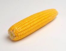 Кукуруза в початках Россия от 1 кг