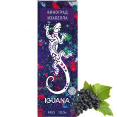 Iguana 100 гр - Grape Isabella (Виноград Изабелла)