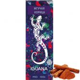 Iguana 100 гр - Spicy Cinnamon (Жгучая Корица)