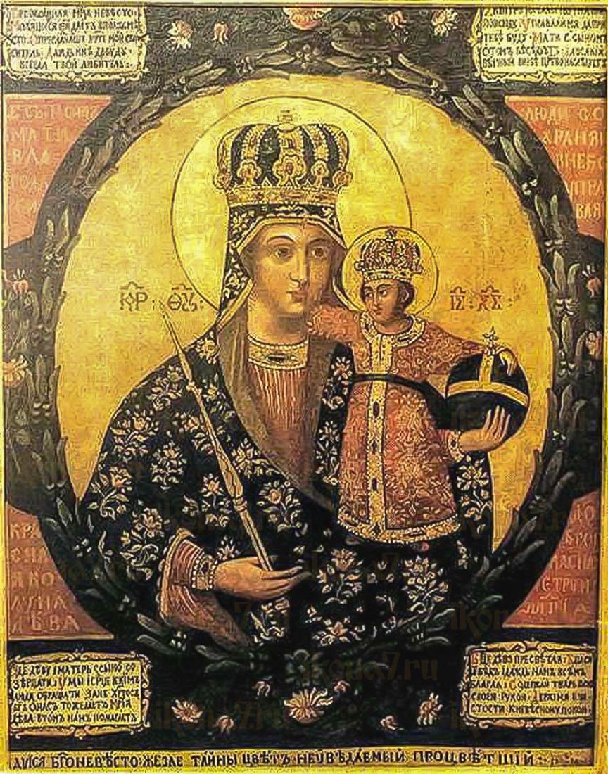 Трубчевская икона Божией Матери (копия старинной)