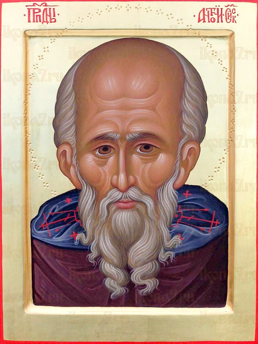 Икона Антоний Сийский