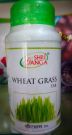Wheat Grass Ростки пшеницы Шри Ганга