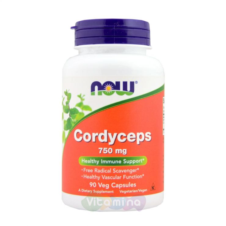 Cordyceps (Кордицепс) - 90 капс
