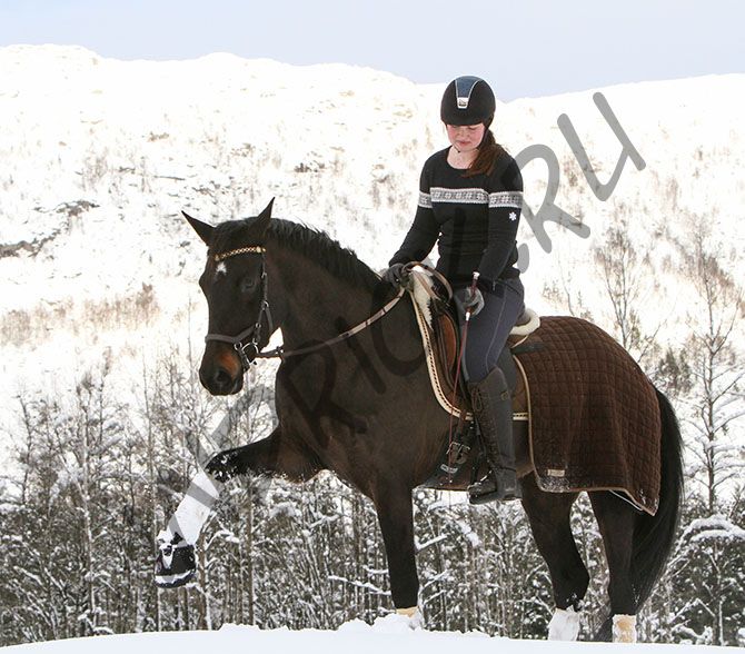 Ботинки для копыт Equine Fusion Active Regular (пара)