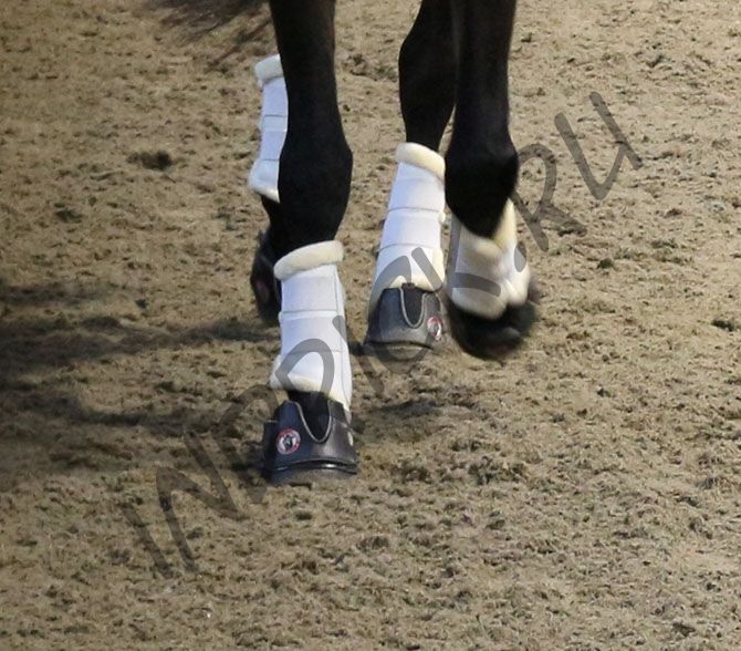 Ботинки для копыт Equine Fusion Active Regular (пара)