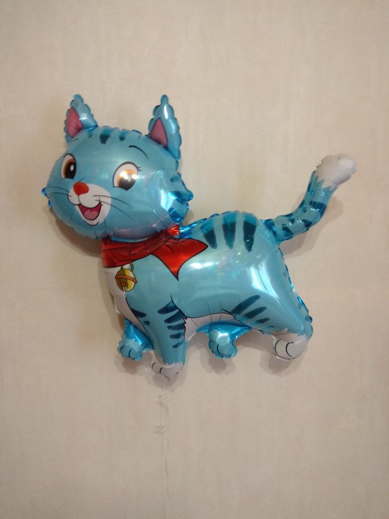 Котик (2 цвета) фольгированный шар с гелием