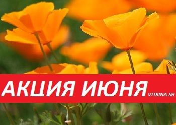 АКЦИЯ ИЮНЯ -30 % (с 21.06.2019 по 30.06.2019)