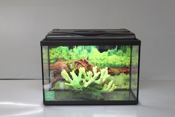 Прямоугольный аквариум Риф с крышкой